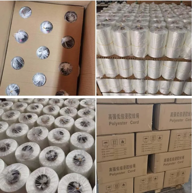 China Manufacturers High Tenacity Polyester Thread for Conveyor Belt