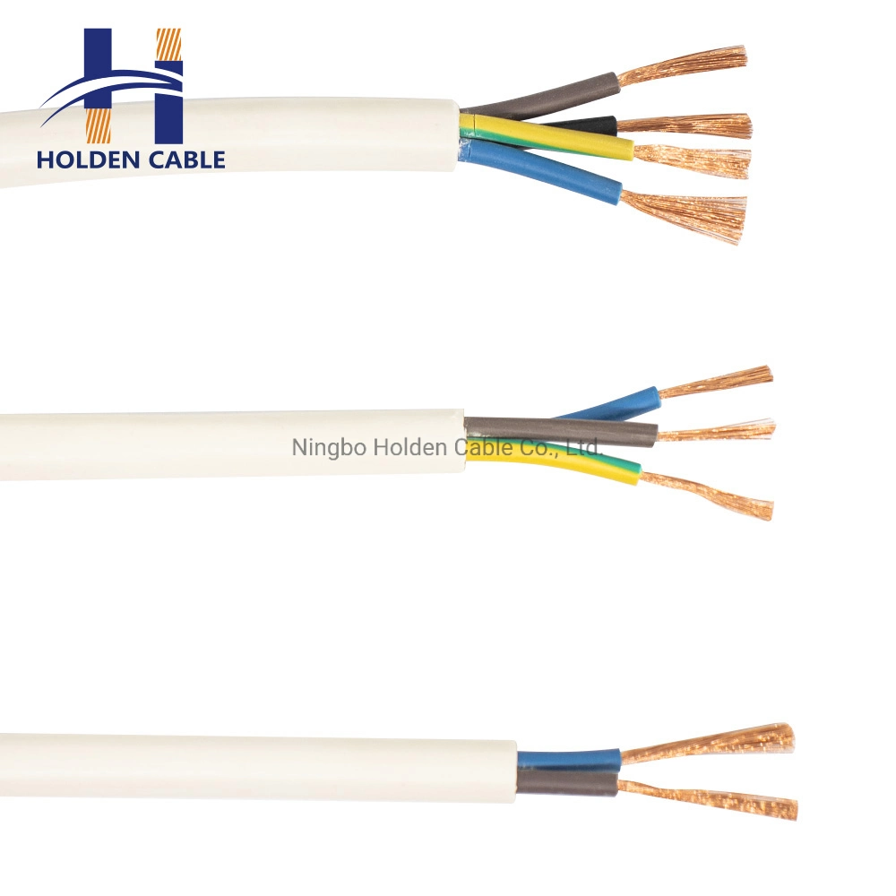 Rvv 2c 3c 4c 5c Electric Wire PVC Oxygen-Free Copper Flex Cable