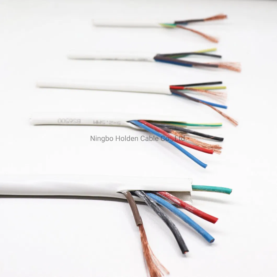 Rvv 2c 3c 4c 5c Electric Wire PVC Oxygen-Free Copper Flex Cable