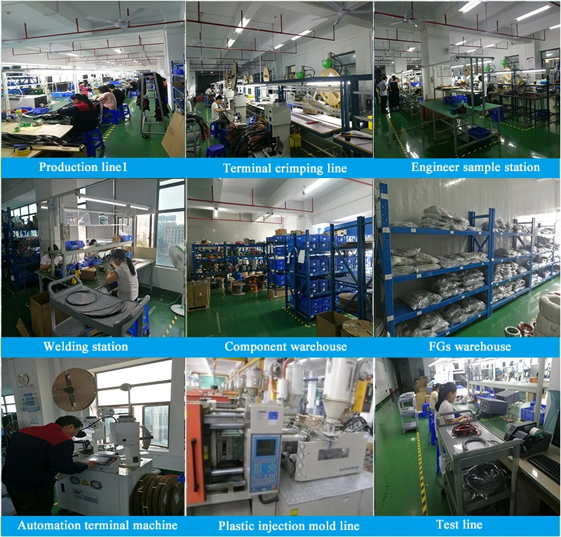 Factory Manufacturing Custom Wiring Harness Auto Electrical Cables Wire Harness Assembly