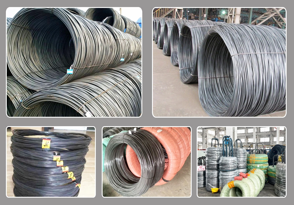 Manufacturers Direct Export of High Quality Q195 Q215 Q235B Q345b S235jr S355jr Ss400 SAE1008 2mm 3mm 5mm Dia Carbon Steel Wire with Best Price