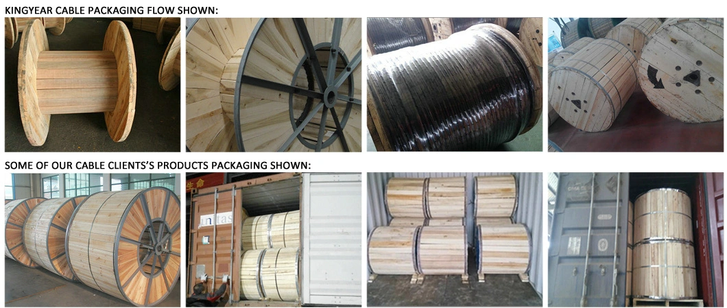 6241y 6242y 6243ypvc Insulated PVC Sheathed Flat Electric Cable Twin and Earth Wire Supplies