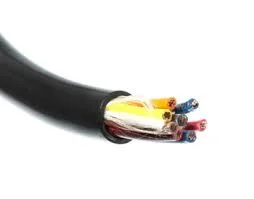 Multi Conductor Low Voltage 600 V Power Cables PVC/Nylon/PVC Type Tc-Er Thhn/Thwn Control Cables Electrical Wires