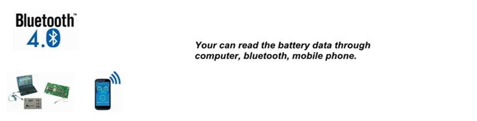 Factory ODM&OEM LiFePO4 Battery 12V 100ah 150ah 200ah 250ah 300ah for Electric RV Marine Golf Cart Home Energy Solar Storage with Bluetooth APP &amp; Self-Heating