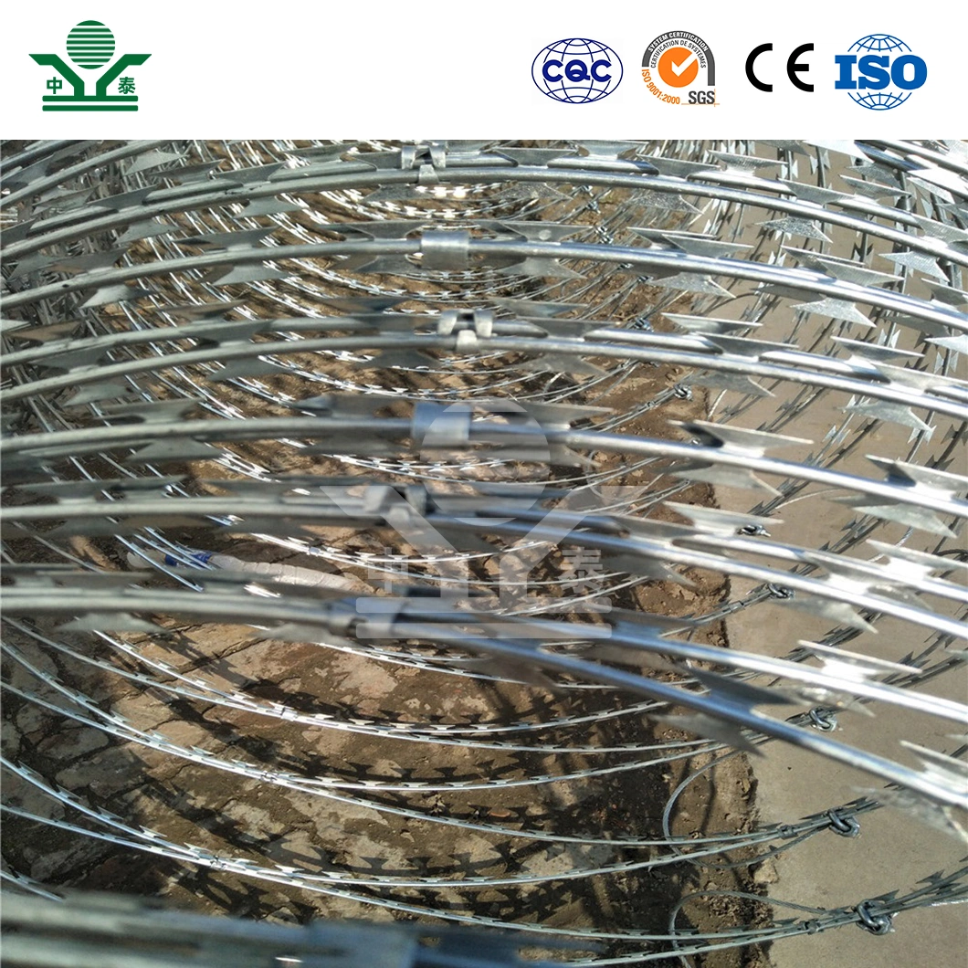Zhongtai Blade Wire Fencing China Manufacturing 450mm Coil Diameter Flat Wrap Razor Barbed Wire Used for Residential Electric Security Fence