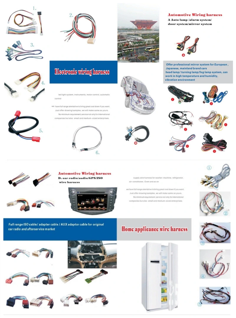 OEM/ODM Manufacturer Custom Electrical Wire Harness Cable Assembly for Automotive Wiring Harness