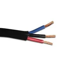 Multi Conductor Low Voltage 600 V Power Cables PVC/Nylon/PVC Type Tc-Er Thhn/Thwn Control Cables Electrical Wires