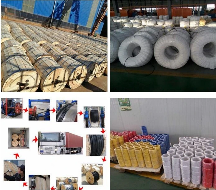Building Used Copper 10mm Electrical Cable Wire Manufacturer Wire