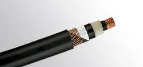 Zr Yjv22 Yjv Copper 0.6/1kv 10mm 3-Core Armored Cable Price