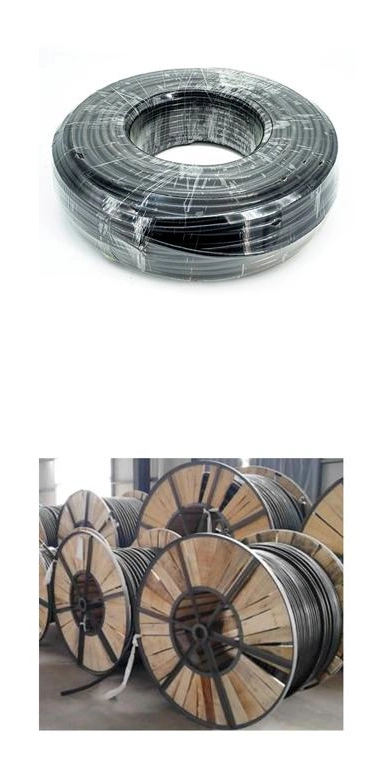 Wholesale TUV Approval 2 Core Double DC Solar Cable Core 1.5mm2 DC Solar Cable 1.6mm Power Cable Wire Electric