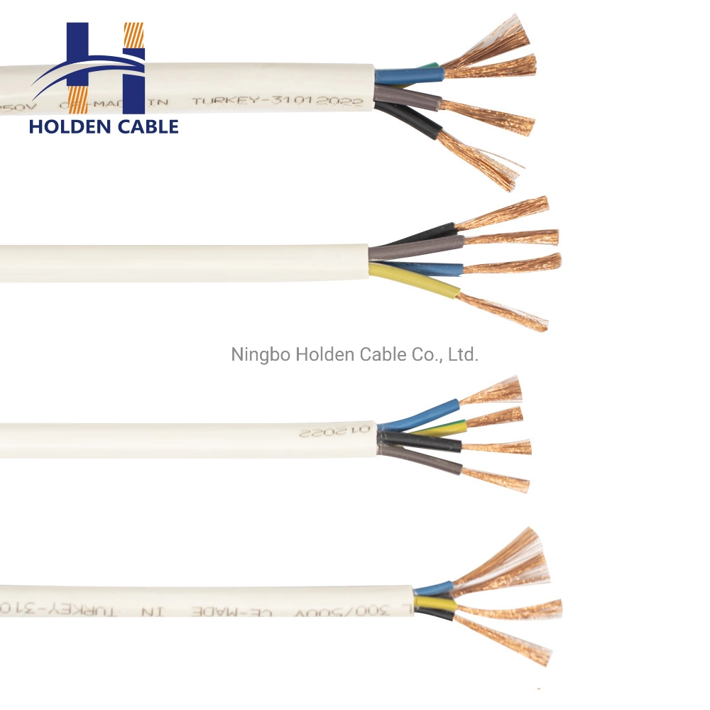 Rvv 2c 3c 4c 5c Electric Wire PVC Oxygen-Free Copper Flex Cable