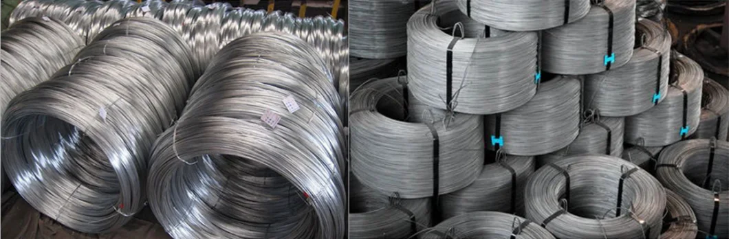 China Factory Direct Selling Low Price High Quality Hot Dipped Galvanized Steel Wire