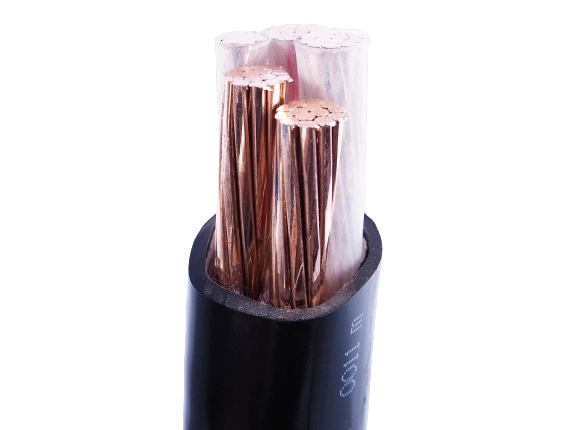 High Quality Copper 2.5 mm 2 Core Electrical Wire PVC Power Cable