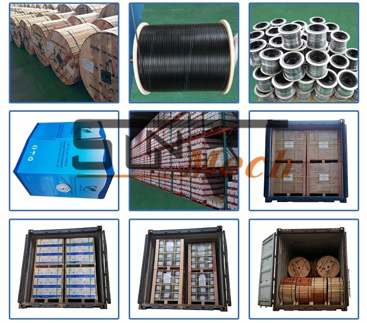 Electrical Wire Single Cable Solid Cable Electric Cable PVC Cable Electrical Cable Bare Copper Cable Twin Flat Electric Wire