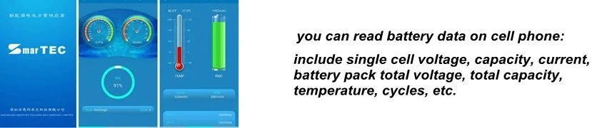 Factory ODM&OEM LiFePO4 Battery 12V 100ah 150ah 200ah 250ah 300ah for Electric RV Marine Golf Cart Home Energy Solar Storage with Bluetooth APP &amp; Self-Heating