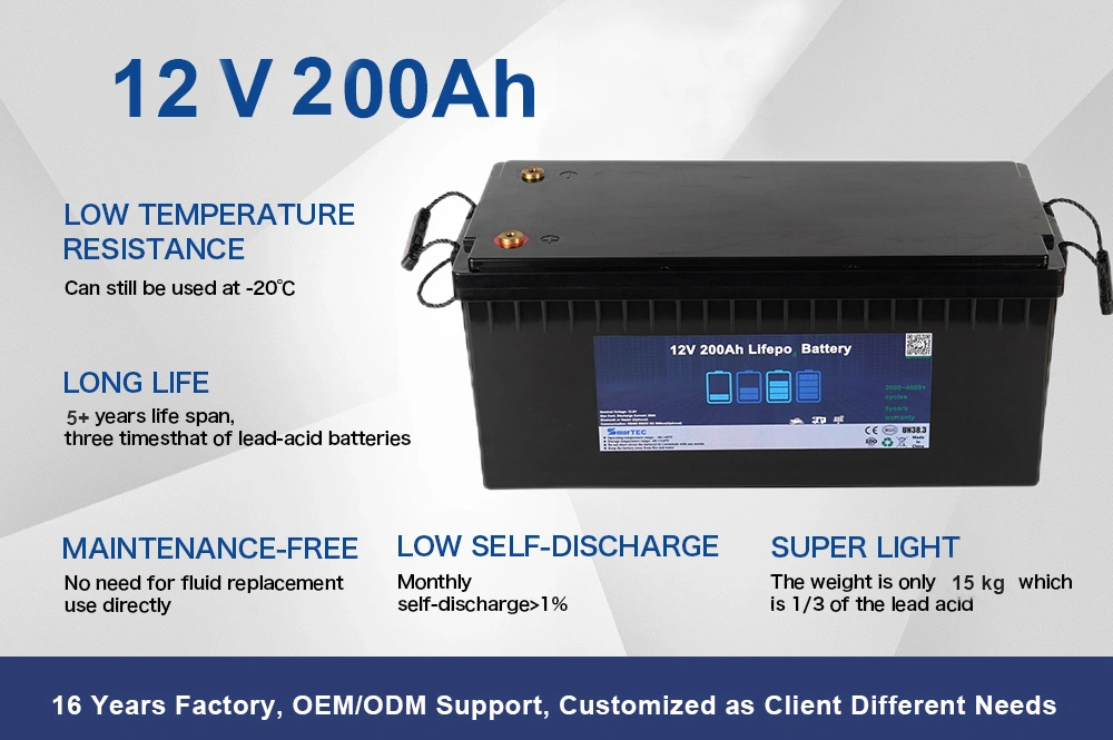 Factory ODM&OEM LiFePO4 Battery 12V 100ah 150ah 200ah 250ah 300ah for Electric RV Marine Golf Cart Home Energy Solar Storage with Bluetooth APP &amp; Self-Heating
