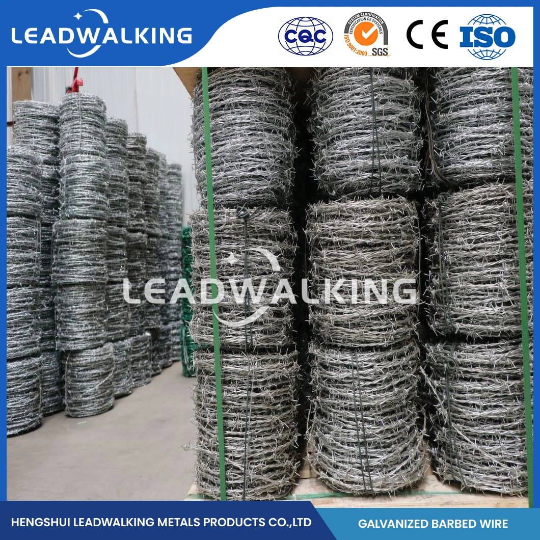 Leadwalking Galvanized Barbed Wire Clip Manufacturing Custom Barbed Wire Galvanized 500m China 1.5mm Thorn Length Sharp Galvanized Razor Barbed Wire