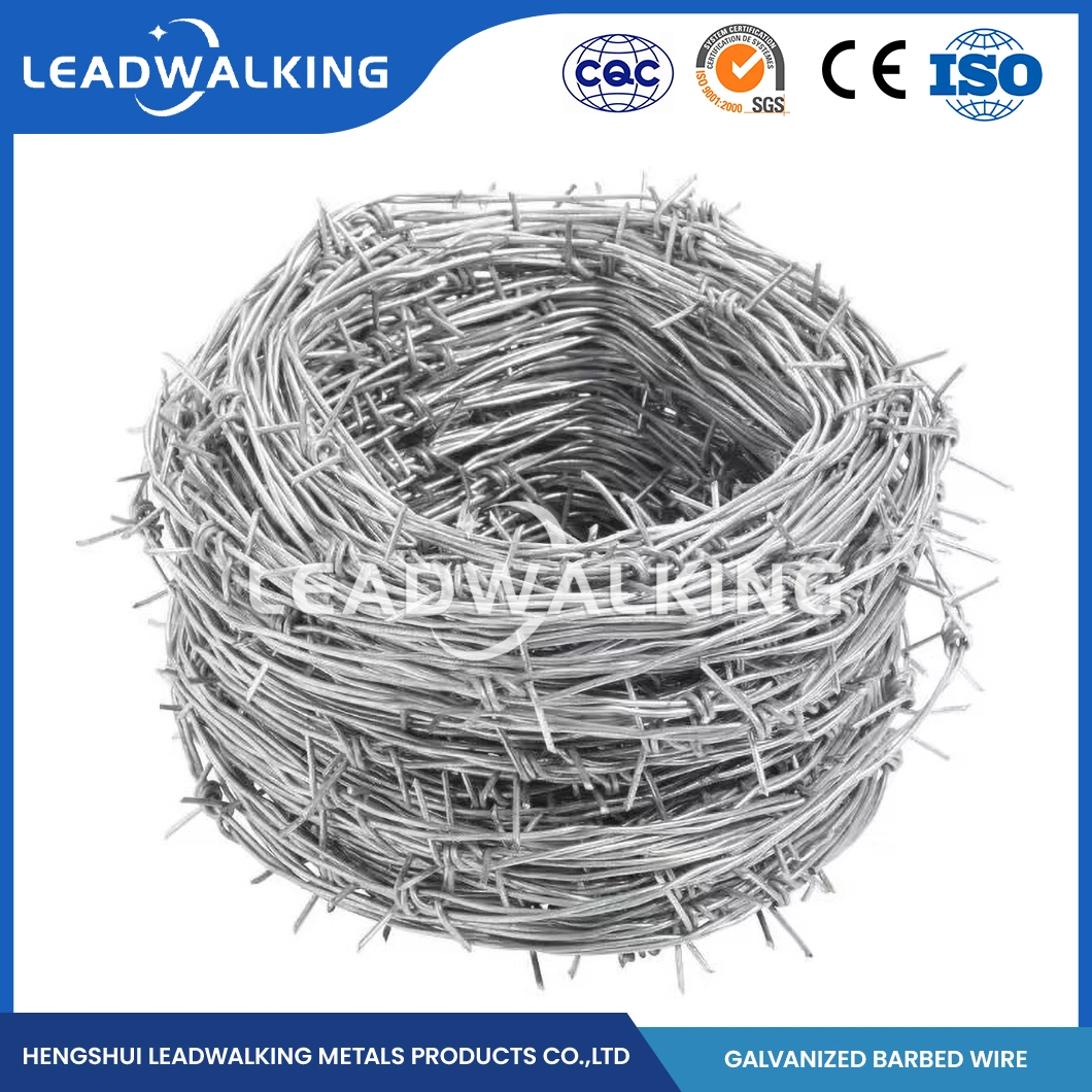 Leadwalking Galvanized Barbed Wire Clip Manufacturing Custom Barbed Wire Galvanized 500m China 1.5mm Thorn Length Sharp Galvanized Razor Barbed Wire