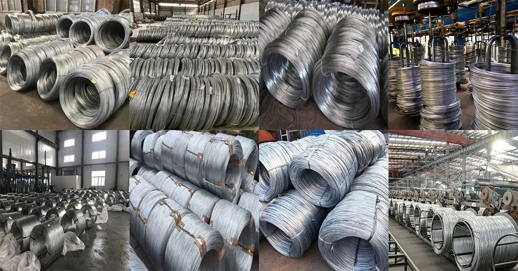 Shandong Steel Wire Manufacturer Galvanized Steel Wire Electric Galvanized Mild Steel Binding Wire Fence Bright Steel Cable Steel Wire Hot Dipped Gi Wire