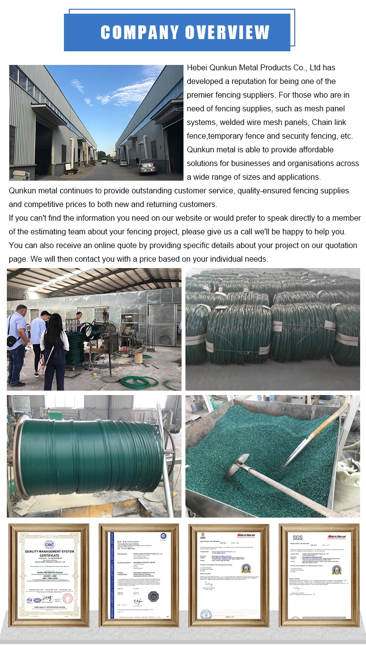 PVC Coated Wire Electro Galvanized Steel Wire Iron Wire
