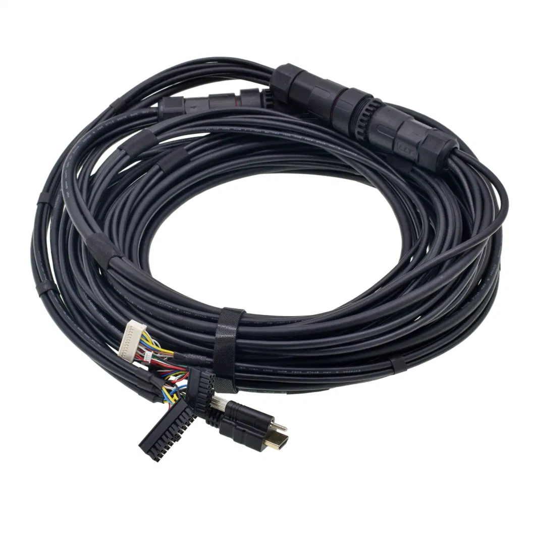 OEM Molex/Jst/Amphenol/Dt Connector UV Resistance Truck Automobile Cabling Panel Mount Cables Signal Wire Assembly