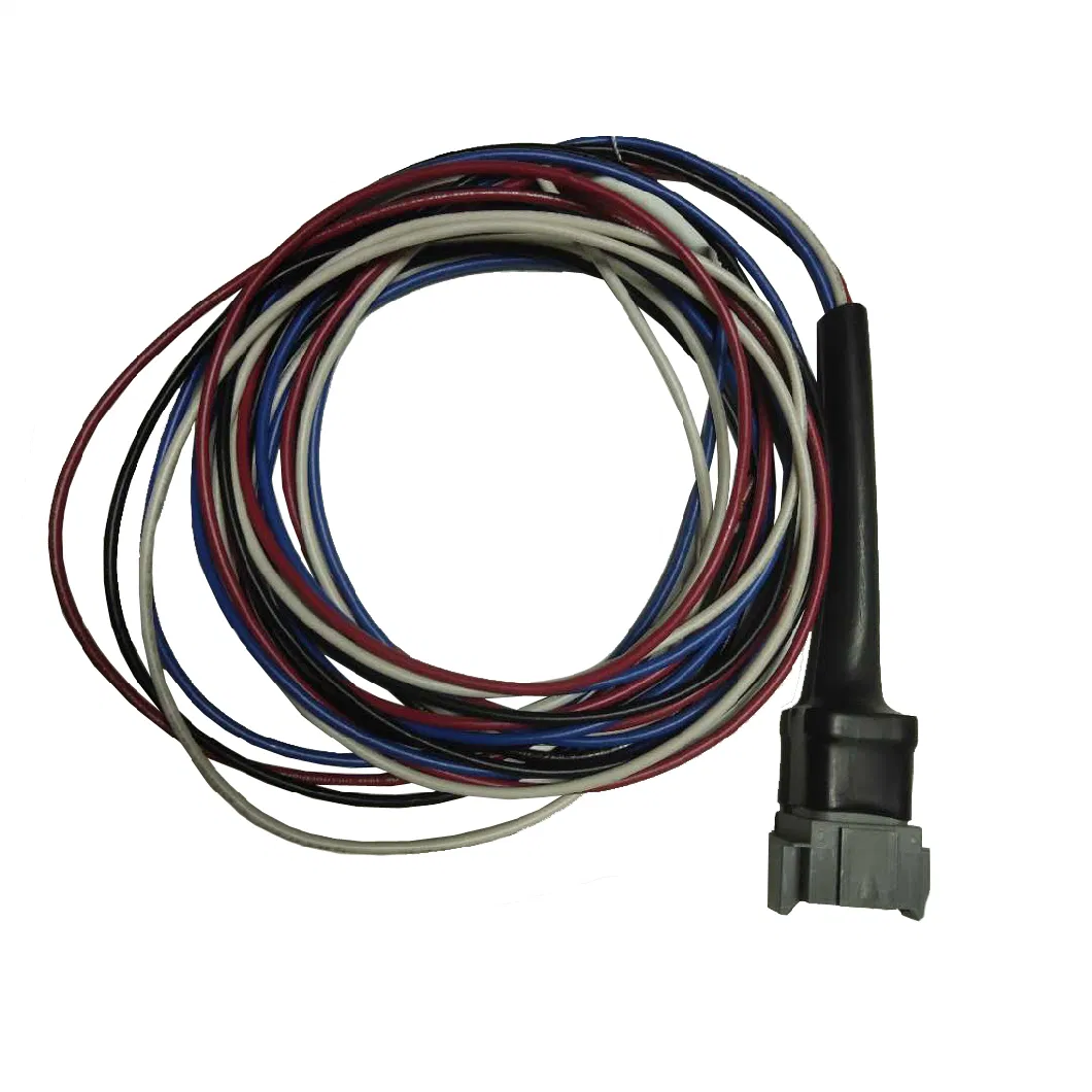 OEM/ODM Manufacturer Custom Electrical Wire Harness Cable Assembly for Automotive Wiring Harness