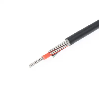 Cable de aluminio concentrico 2X6mm2 (XLPE-PVC) 0.6/1 kV