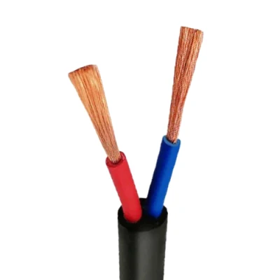 Rvv 2*1,0 mm2 aislada del Cableado Eléctrico Eléctrico de Cable Cable de cobre de 3mm