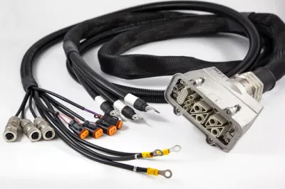 Conector eléctrico de carcasa y terminales Molex a medida cable de mazo de cables Montaje para máquina de juegos