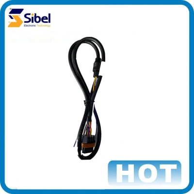 Arnés de cableado de alta calidad OEM/mayorista para automoción/cable/conector/electricidad/automóvil/médico/luz/radio/audio