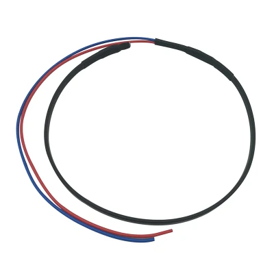 40cm cable frío conectado 12V cable de calefacción autorregulado aislamiento PE Calentador PTC de baja tensión