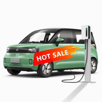 2023 Bev coche nuevo LHD Commuter Mini coche Nueva energía Solar eléctrico coches pequeños vehículo eléctrico 4seats 4wheels uso diario