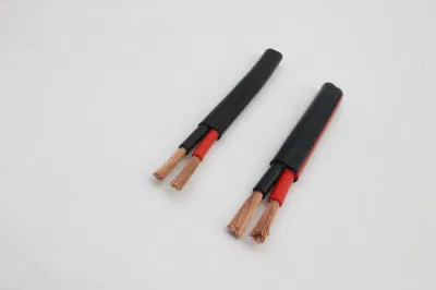El cable eléctrico Cable Eléctrico Revestimiento de PVC de 2,5 mm, alambre de cobre---Tsj