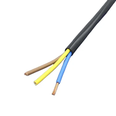 Cobre de alta calidad 2,5mm 2 núcleo eléctrico cable PVC Potencia Cable