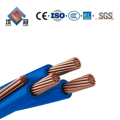 Shenguan OEM longitud personalizada 1,5mm 2,5mm 4mm 6mm 10mm simple Núcleo de cobre PVC Casa de cableado eléctrico cable y alambre Precio Cable de construcción