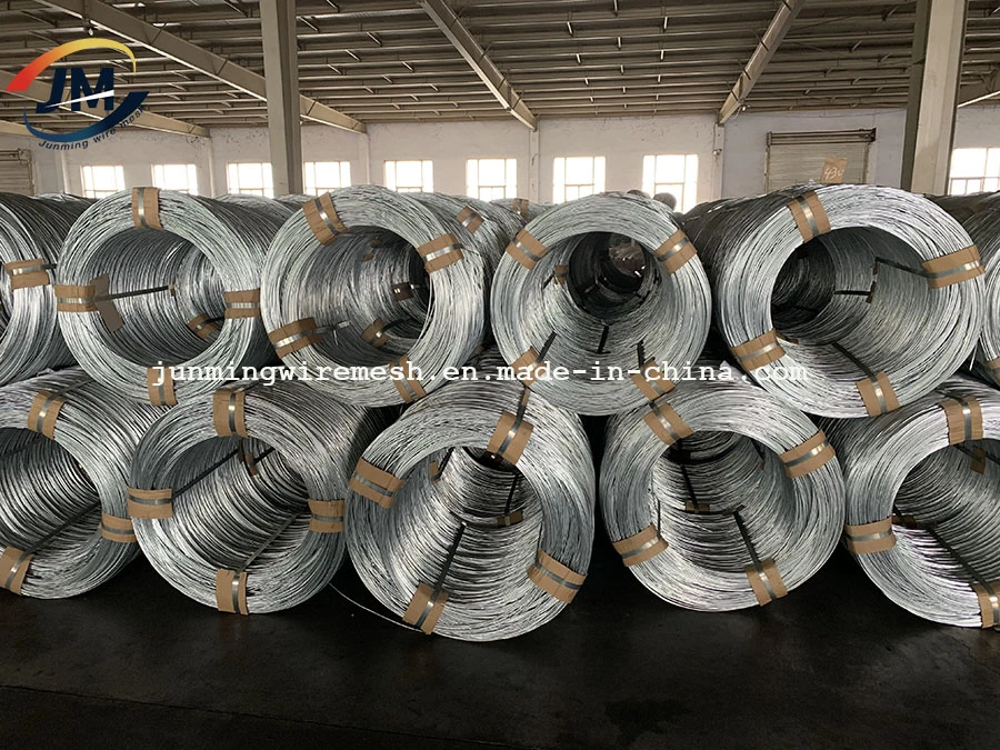 Hot Dipped/Electric Galvanized Mild Steel Binding Wire/Black Annealed Rebar Iron Tie Wire 16 Gauge Stainless Steel Spool for Construction/Building Material