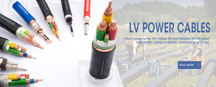 Electrical Cable Wire 10mm 3 Phase Cable Price