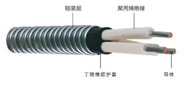 5kv 2 AWG/3c Epr Insulation Lead Sheath Esp Cable/Submersible Oil Pump Cable with Capillary Cable Oil