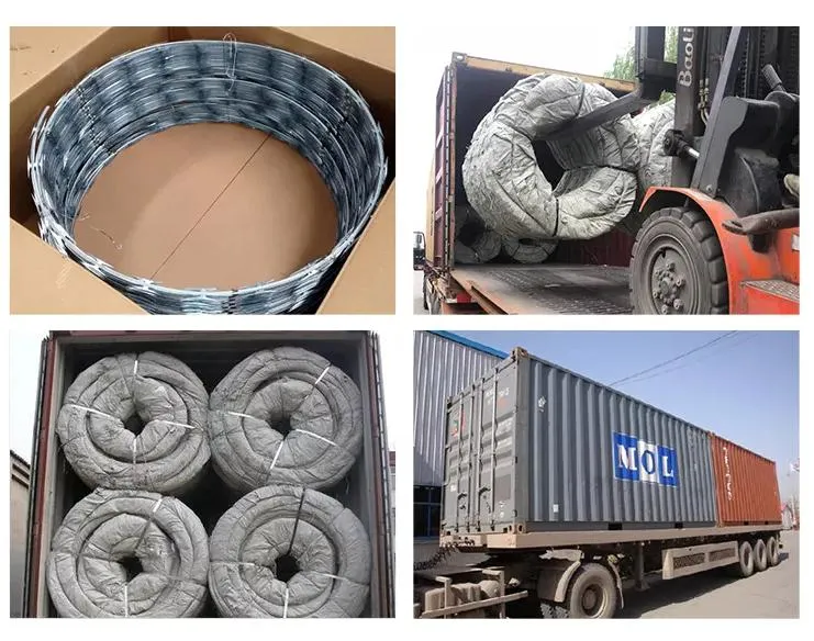 Hot Dipped Galvanized 900mm Bto-22 Concertina Razor Barbed Wire