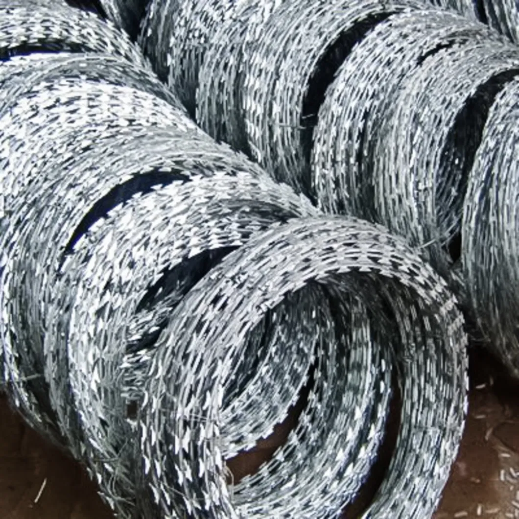 Hot Dipped Galvanized 900mm Bto-22 Concertina Razor Barbed Wire