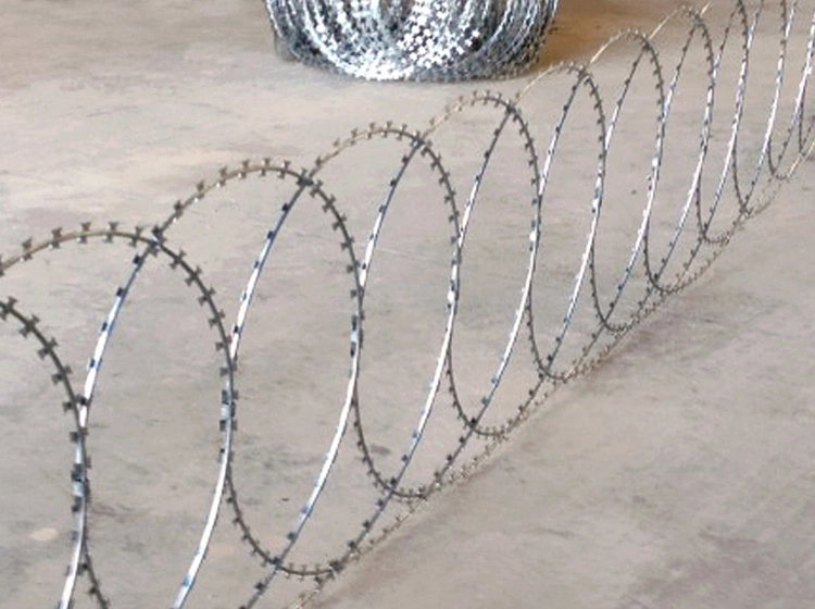 Barbed Concertina Fencing Wire Razor Wire