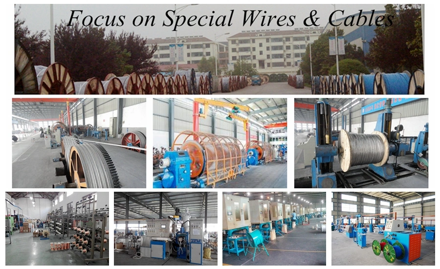 Flexible PVC Insulated Electric Wire for Equipment and Building