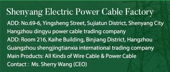 Shenguan Copper Conductor House Wiring Electrical Cable 1.5mm 2.5mm 4mm 6mm 10mm 16mm 20mm 25mm Electric Wire Control Cable