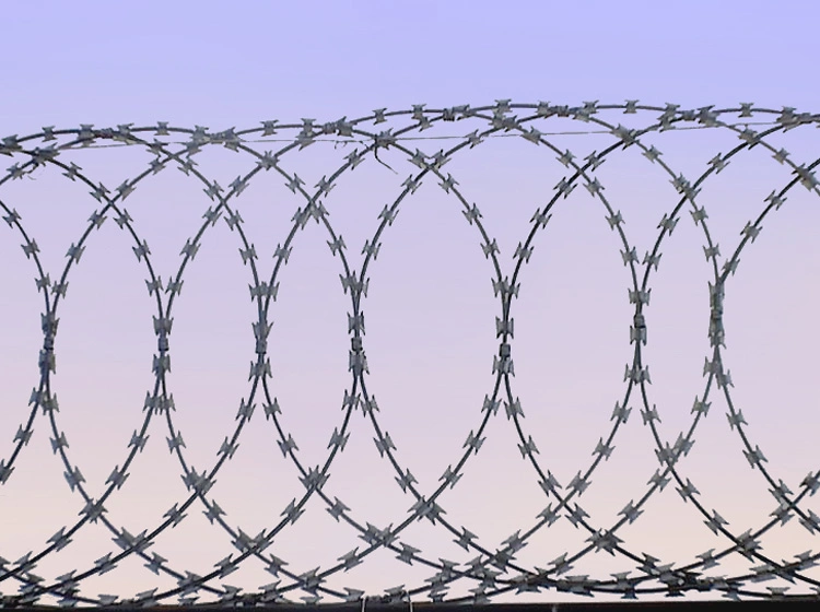 Barbed Concertina Fencing Wire Razor Wire