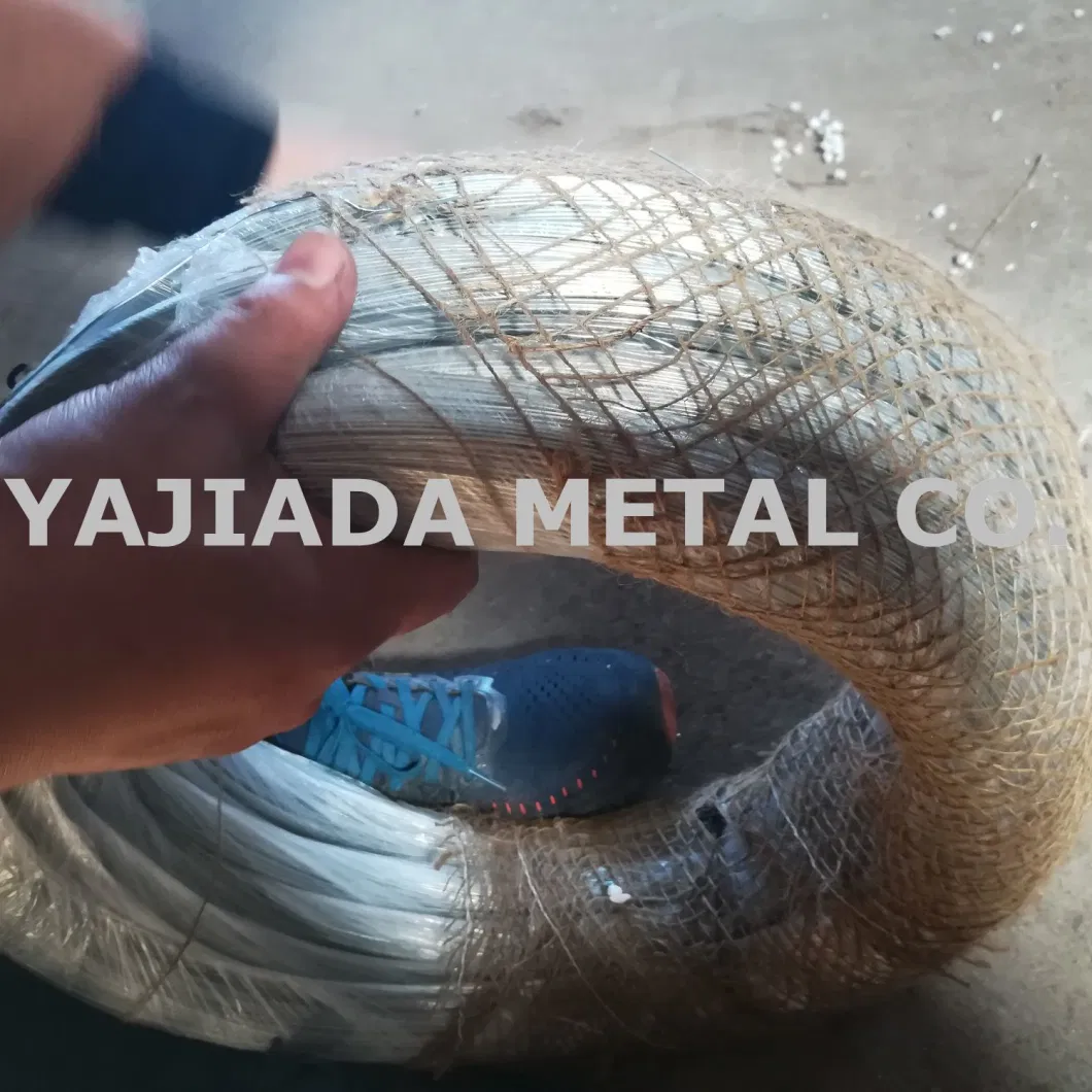 Galvanized Binding Wire Bwg20 to Oman