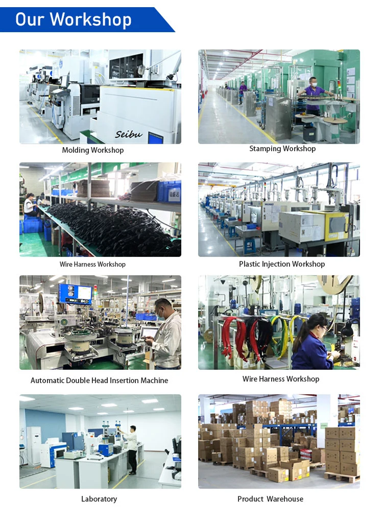 Fpic Automotive Wire Harness Manufacture Car Air Interface Auto Electrical Cable Custom Cable Assembly