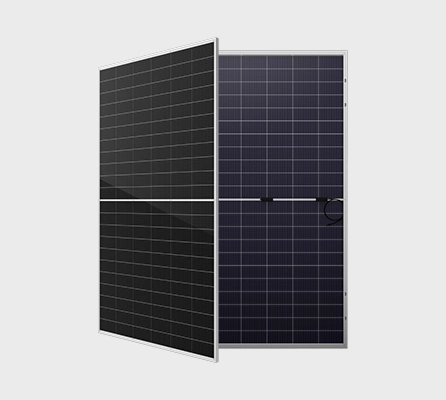 Risen Half Cell Black Solar Panel 650W 660W 670W Bificial Grade a PV Module