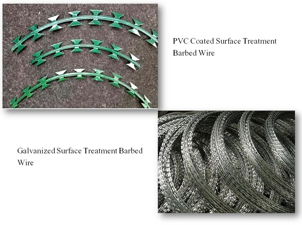 Factory Price Bto-22 Stailess Steel Galvanized Razor Wire Coils Concertina Barbed Wire for Security Application