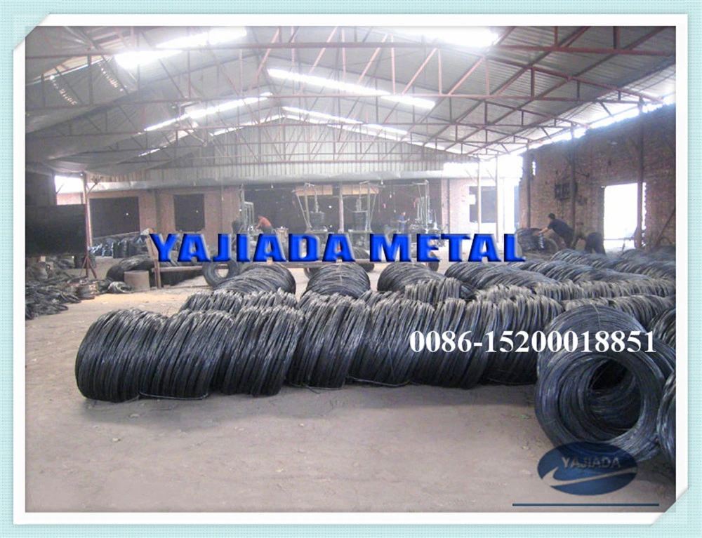 Soft Black Binding Wire for Ghana Market