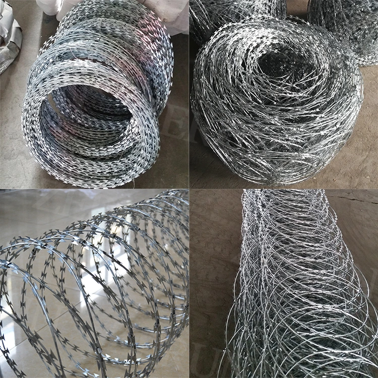 Galvanized Concertina Razor Barbed Wire for Fence Cbt-65 in Tanzania